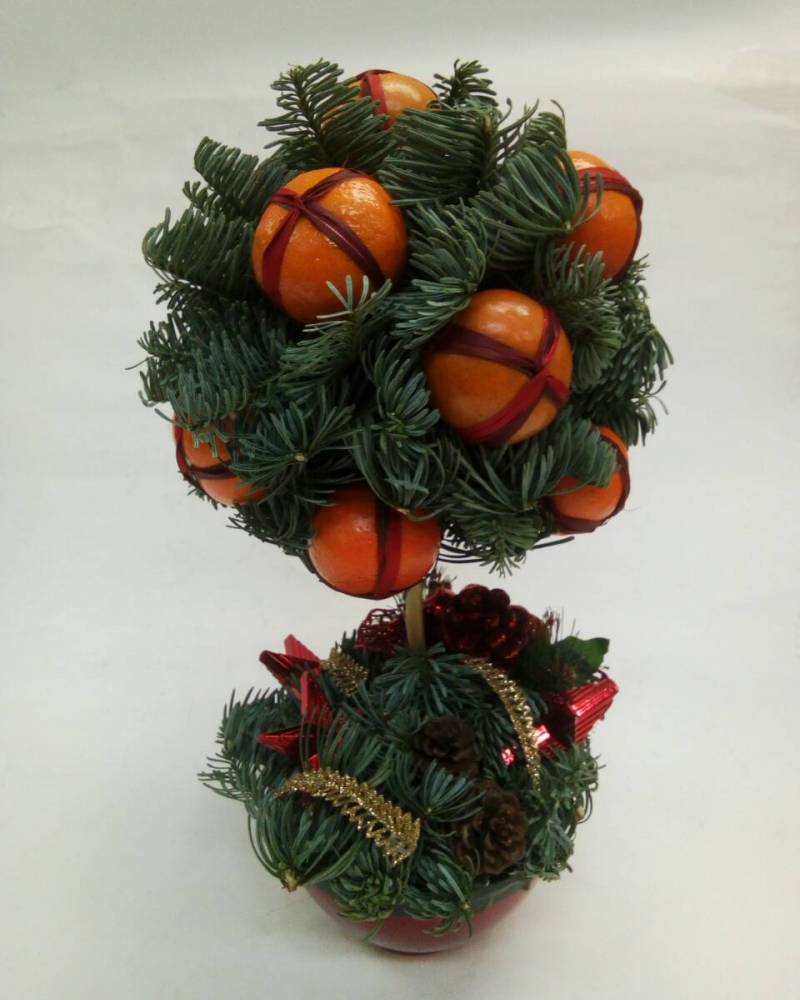 Мандариновое дерево